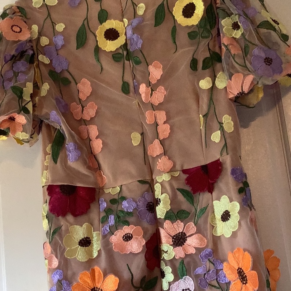 Beautiful 3D multicolor floral appliqué dress - Picture 8 of 15